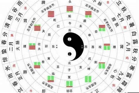 命格 金木水火土|五行查询生辰八字查询,查自己五行属什么